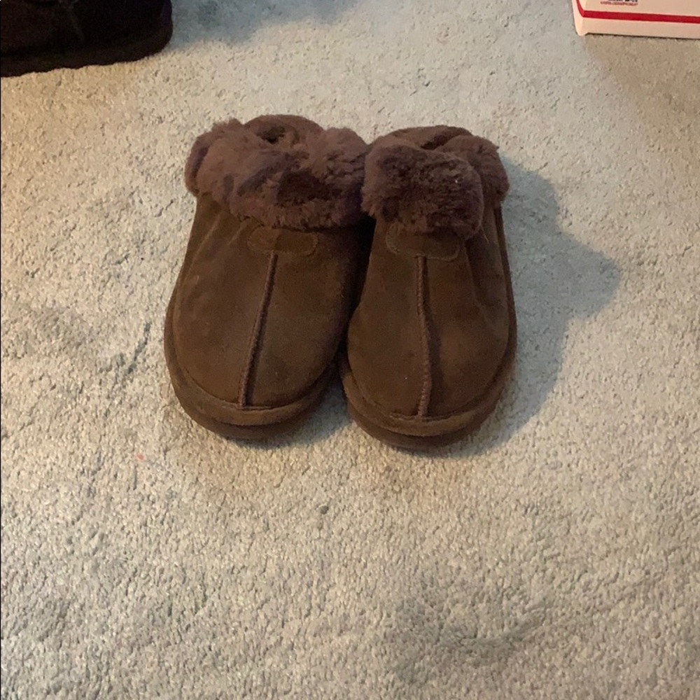 Brown bearpaw slides